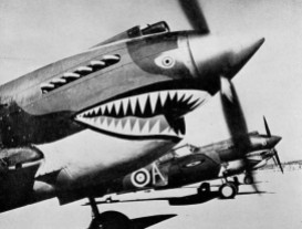 VVV_RAF-Tomahawk-aircraft-1941-595x451 - Copy - Copy